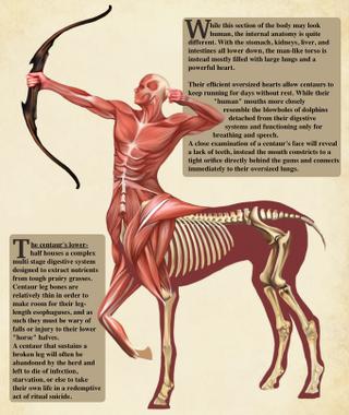 Illustration for article titled What The Inside Of Famous Monsters Looks Like